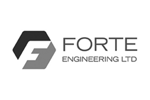 Grey Forte Logo